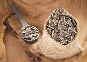 Sunflower seeds - Helianthus annuus