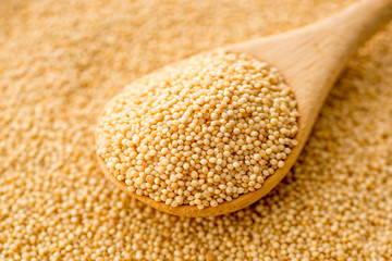 アマランサス　シード