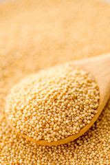 アマランサス　シード