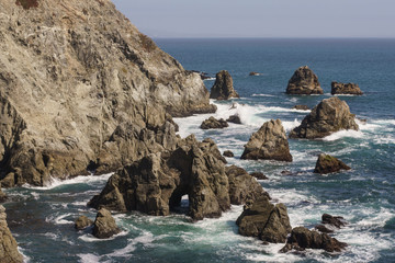 Sonoma coast