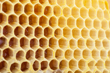Honeycomb background