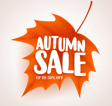 Orange autumn leaf with sale text in white background vector banner design for fall seasonal marketing promotion. Vector illustration.
