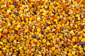 Fototapeta premium Bee Pollen texture