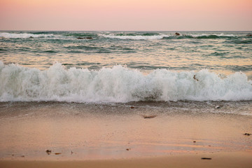 Fototapeta na wymiar Beautiful Australian beach on the Pacific Ocean at sunset