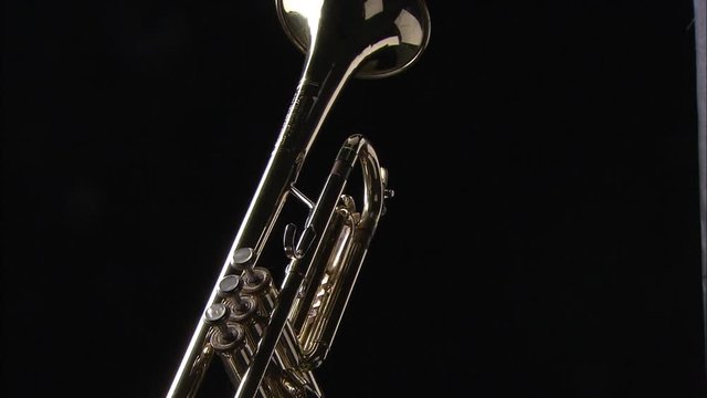 Musical Instruments - Trumpet Horn