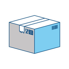 Delivery cardboard box