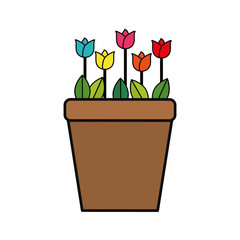 Beautiful flowers in pot