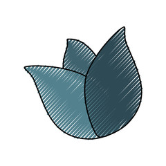 Beautiful flower gardening