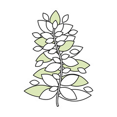 Plant ecology isolated