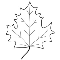 Naklejka premium Maple leaf mono sign 1.08