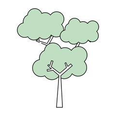Tree nature ecology