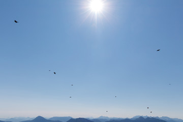 Birds flying over mountain peaks in the alps