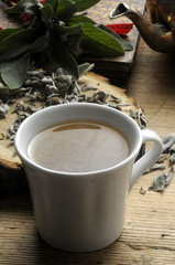 Salvia officinalis Ljekovita žalfija Sage Φασκόμηλο Szałwia lekarska herb Tisane Шалфей лекарственный Tisana Yrttitee Ryytisalvia Herbal tea Xô thơm Napar Травяной чай