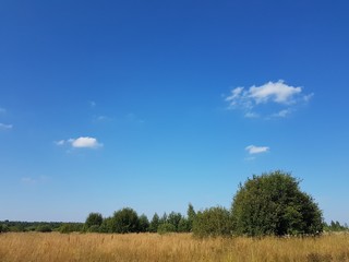 Obraz premium fields