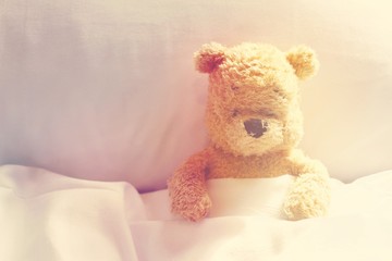 Bear in bed