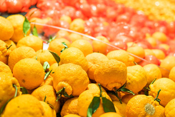 Fresh mandarin oranges