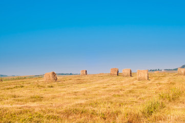 Haystacks in the field.