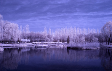Infrared tree & lake