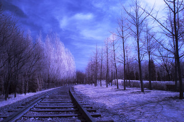 infrared tree & train track