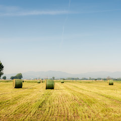 Agricultural concept