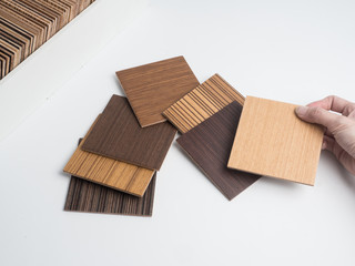 Samples of veneer wood on white background. interior design select material for idea.