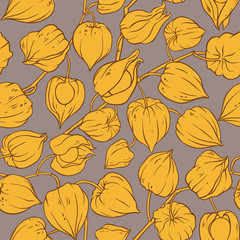 physalis vector pattern
