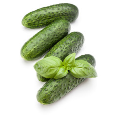 Cucumber vegetable and basil leaves isolated on white background cutout