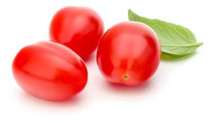 fresh plum tomato with basil leaf isolated on white background