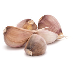 garlic cloves isolated on white background cutout