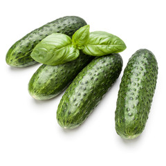 Cucumber vegetable and basil leaves isolated on white background cutout
