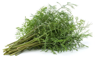 fresh green dill herb leaves bunch isolated on white background cutout