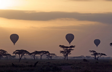 Hot air baloon over the Serengeti National Park