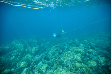 Snorkeling at the coral reef 