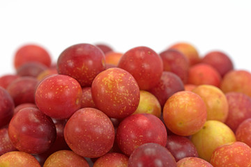 Wilde Mirabellen, Prunus cerasifera