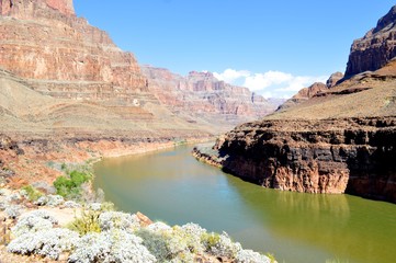 ouest americain  Grand canyon