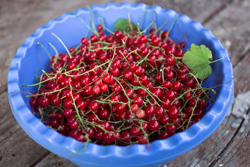 Blue bowl with red berries on wooden table