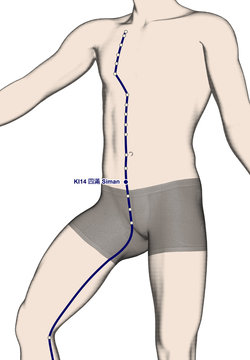 Drawing Acupuncture Point KI14 Siman, 3D Illustration