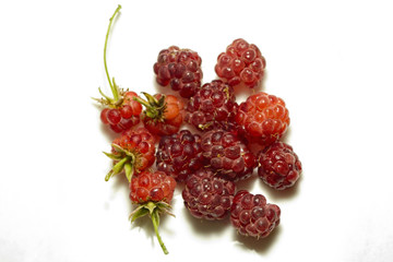 raspberries