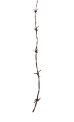 Old security barbed wire fence isolated on white background