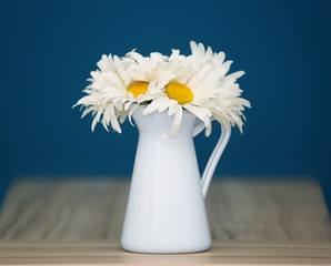 Beautiful chamomiles in white jug on wooden table against color background