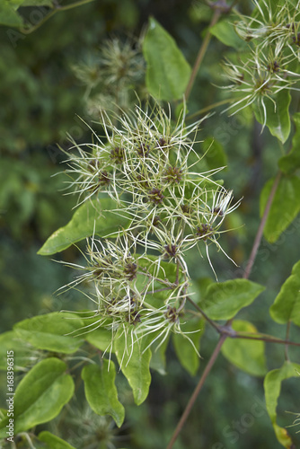Fetes Occasions Speciales Rottweiler A5 Personnalise Bonne Retraite Carte De Vœux Pidrot1 Chien Design Maison Pokupec Hr