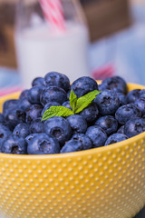 Blueberry antioxidant organic superfood