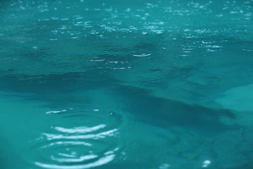 Rain drops falling on water surface