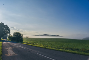 Fototapeta premium Foggy Morning