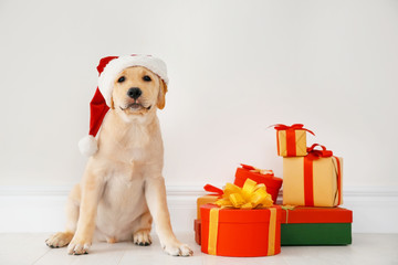 Cute dog in Santa Claus hat sitting on floor near Christmas gifts