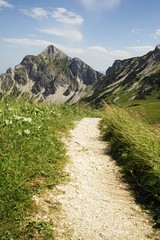 Mountain trail in the Tyrolean Alps