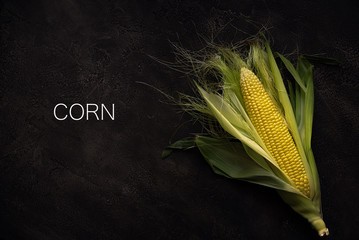 One ripe corn on concrete background with text