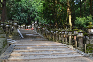 The Japanese shrine in Nara, Japan. With many 