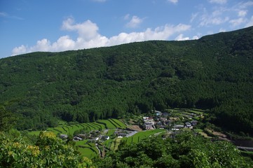 夏の清水棚田　長崎県の棚田
