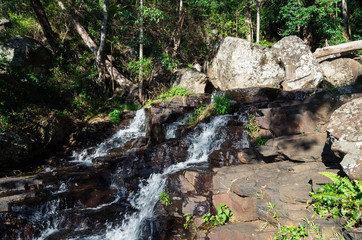 Cameron Falls waterfall on Mt Tamborine